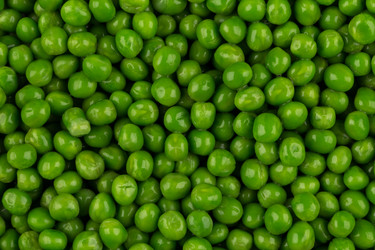 Similar image 13046789