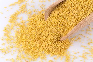 Similar image 13046811