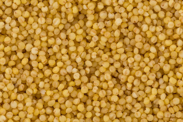 Similar image 13046851