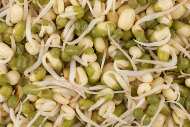 Similar image 13046914