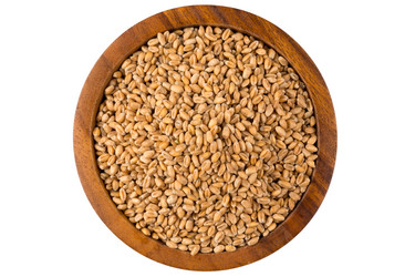 Similar image 13046976