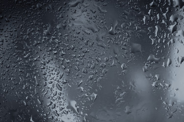 Similar image 13047029