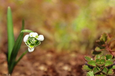 Similar image 13045195