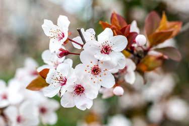 Similar image 13001591