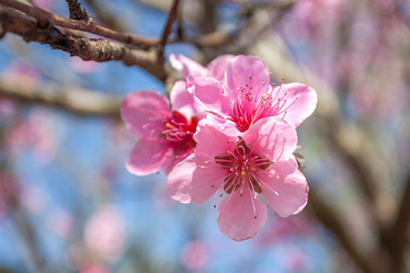 Similar image 13001594