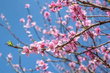 Similar image 13001595