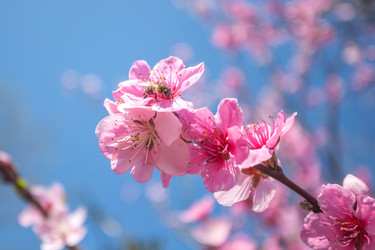 Similar image 13001598