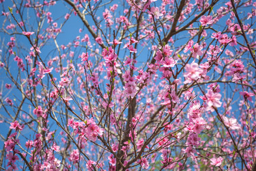 Similar image 13001607