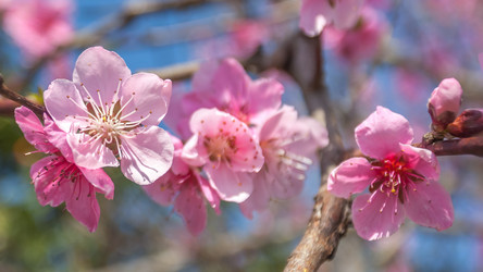 Similar image 13001610