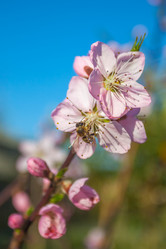 Similar image 13001614