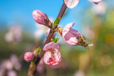 Similar image 13001615