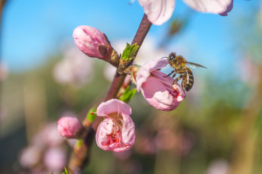 Similar image 13001616