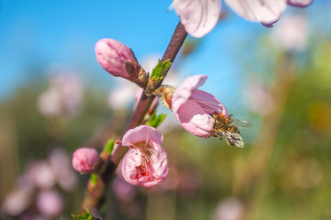 Similar image 13001618