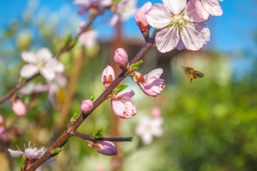 Similar image 13001624