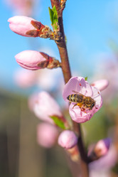 Similar image 13001625