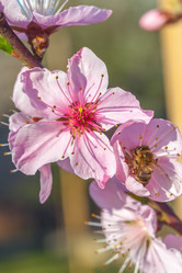 Similar image 13001627