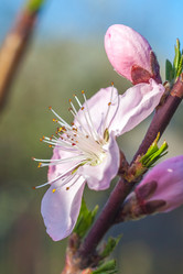 Similar image 13001628