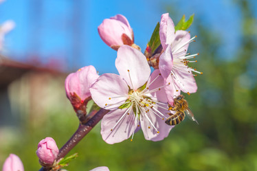 Similar image 13001630