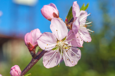 Similar image 13001631