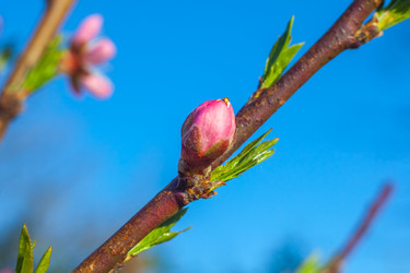 Similar image 13001633