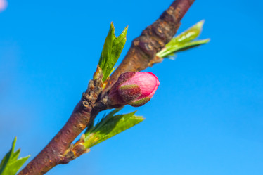 Similar image 13001634