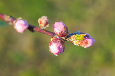 Similar image 13001635