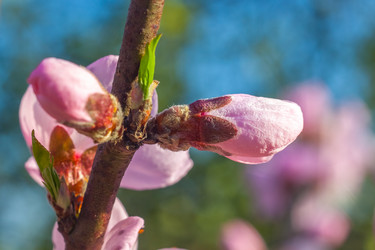 Similar image 13001636