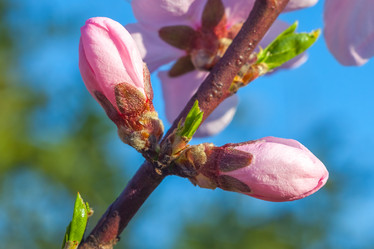 Similar image 13001637