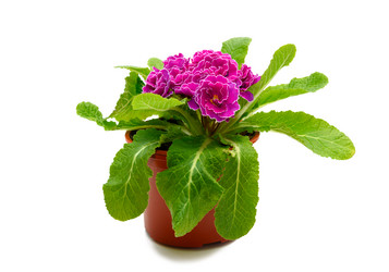 Similar image 13005403