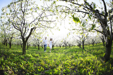 Similar image 13005304