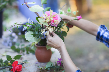 Similar image 13005231