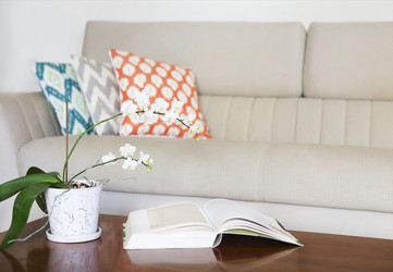 Similar image 13005249