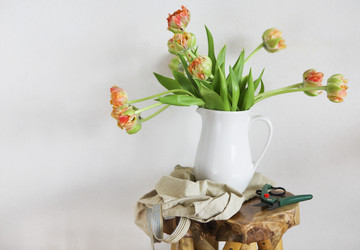 Similar image 13005252