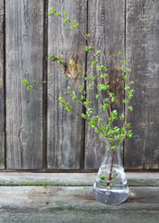 Similar image 13005258