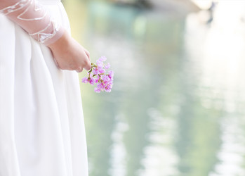 Similar image 13005267