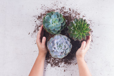 Similar image 13023683