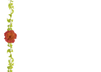 Similar image 13003041