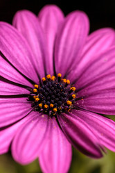 Similar image 13052149