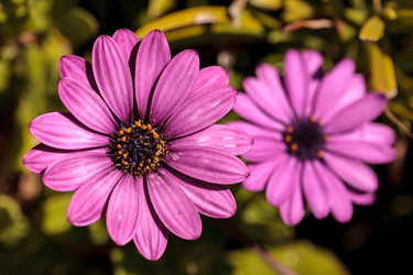 Similar image 13052150