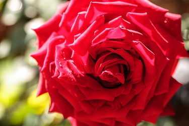 Similar image 13052055