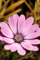 Similar image 13052059