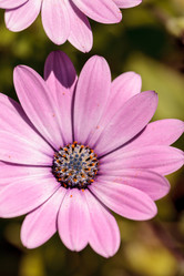 Similar image 13052207