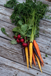 Similar image 13052208