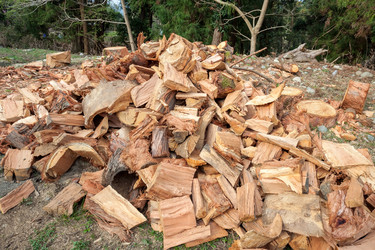 Similar image 13002642