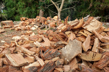 Similar image 13002643