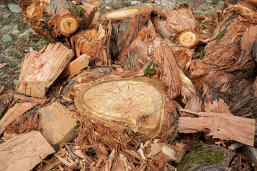 Similar image 13002644