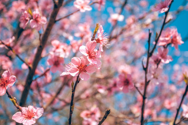 Similar image 13002645