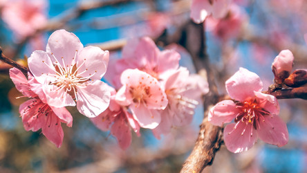 Similar image 13002647