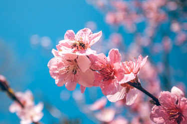 Similar image 13002664