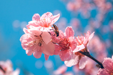 Similar image 13002665